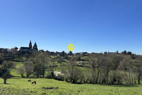 Villa a Benevent-l'Abbaye, Creuse, Benevent-l'Abbaye - € 42.000 | Ref: 57MS111390 - foto 2