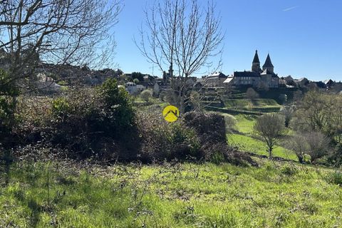Villa a Benevent-l'Abbaye, Creuse, Benevent-l'Abbaye - € 42.000 | Ref: 57MS111390 - foto 12