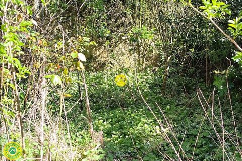 Villa i Gracay, Cher, Gracay - € 37.000 | Ref: 91CAL111168 - foto 9