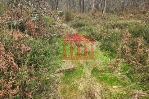 Helårsgrund i Barcelos, Braga, Barcelos - € 29.500 | Ref: 272T001085 - foto 3
