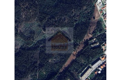 Helårsgrund i Paredes, Porto, Paredes - € 17.000 | Ref: 1086 - foto 2