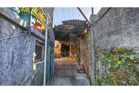 Villa i Viana do Castelo, Viana do Castelo, Viana do Castelo - € 165.000 | Ref: 251260057 - foto 3