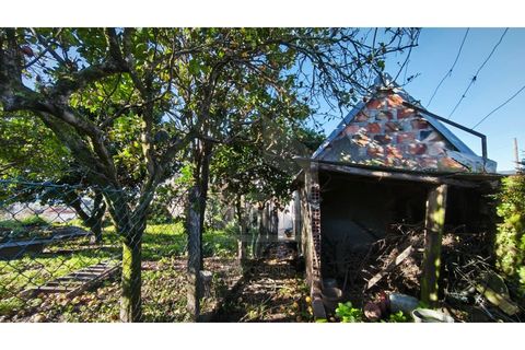 Villa i Viana do Castelo, Viana do Castelo, Viana do Castelo - € 165.000 | Ref: 251260057 - foto 4