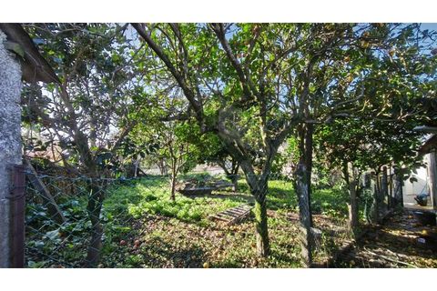 Villa i Viana do Castelo, Viana do Castelo, Viana do Castelo - € 165.000 | Ref: 251260057 - foto 5
