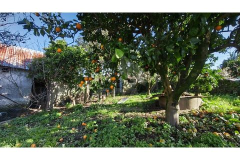 Villa i Viana do Castelo, Viana do Castelo, Viana do Castelo - € 165.000 | Ref: 251260057 - foto 6