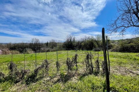 Villa i Dogliani, Cuneo, Dogliani - € 75.000 | Ref: D763.26 - foto 6