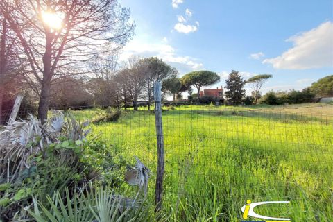 Terra a Ladispoli, Rome, Ladispoli - € 85.000 | Ref: GIP-131 - foto 2