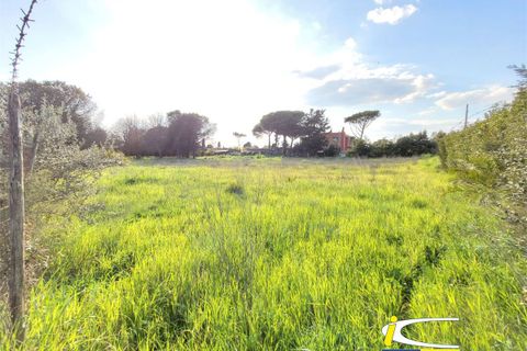 Terra a Ladispoli, Rome, Ladispoli - € 85.000 | Ref: GIP-131 - foto 3