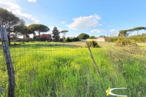 Terra a Ladispoli, Rome, Ladispoli - € 85.000 | Ref: GIP-131 - foto 4