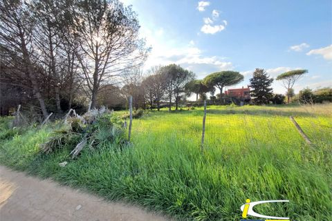 Terra a Ladispoli, Rome, Ladispoli - € 85.000 | Ref: GIP-131 - foto 5