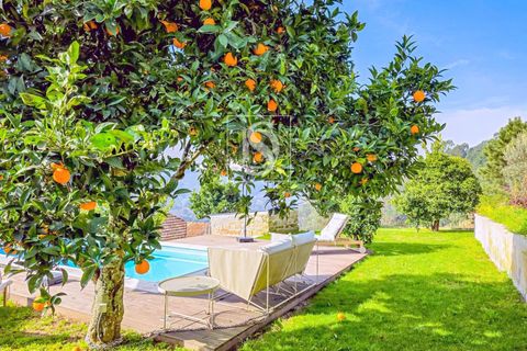 Villa i Baiao, Porto, Baiao - € 580.000 | Ref: 20261017CR/12937 - foto 35