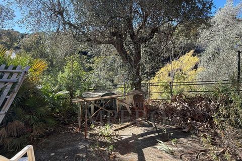 Villa i Bordighera, Imperia, Bordighera - € 99.000 | Ref: 23830 - foto 11