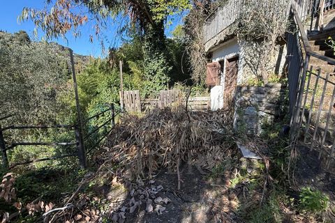 Villa i Bordighera, Imperia, Bordighera - € 99.000 | Ref: 23830 - foto 13