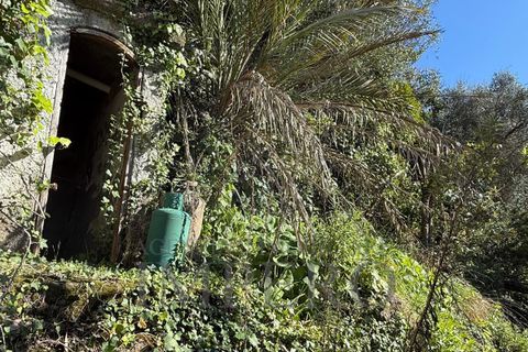 Villa i Bordighera, Imperia, Bordighera - € 99.000 | Ref: 23830 - foto 17