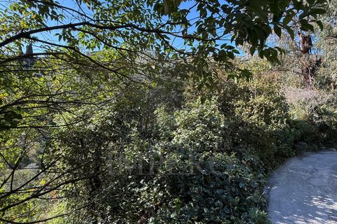 Villa i Bordighera, Imperia, Bordighera - € 99.000 | Ref: 23830 - foto 24