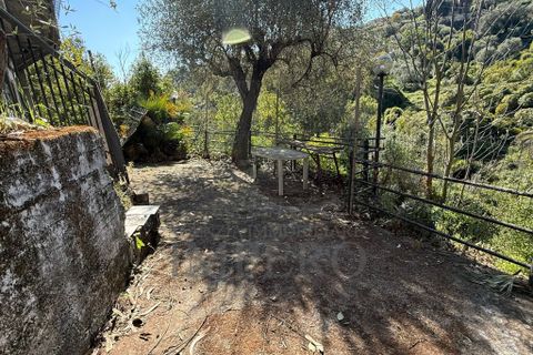Villa i Bordighera, Imperia, Bordighera - € 99.000 | Ref: 23830 - foto 32
