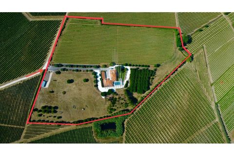 Farm i Alenquer, Lisbon, Alenquer - € 1.435.500 | Ref: HB0801-INV - foto 2