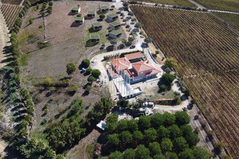 Farm i Alenquer, Lisbon, Alenquer - € 1.435.500 | Ref: HB0801-INV - foto 3