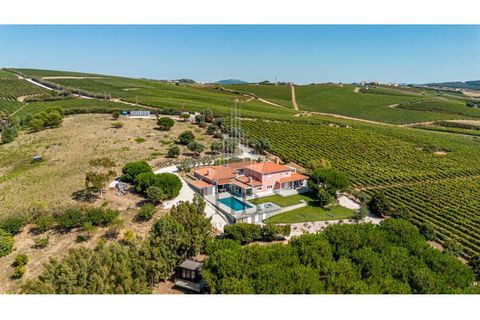 Farm i Alenquer, Lisbon, Alenquer - € 1.435.500 | Ref: HB0801-INV - foto 23