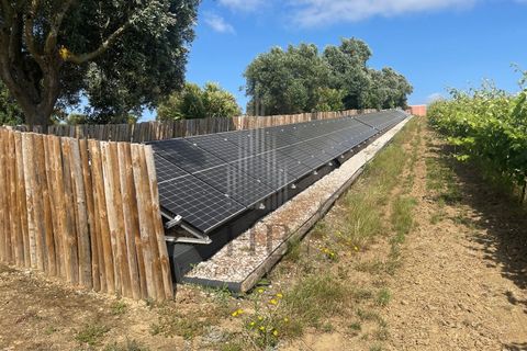 Farm i Alenquer, Lisbon, Alenquer - € 1.435.500 | Ref: HB0801-INV - foto 24
