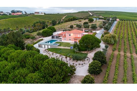 Farm i Alenquer, Lisbon, Alenquer - € 1.435.500 | Ref: HB0801-INV - foto 27
