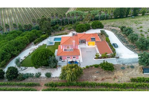 Farm i Alenquer, Lisbon, Alenquer - € 1.435.500 | Ref: HB0801-INV - foto 37