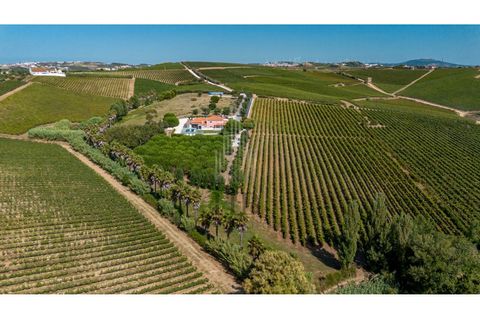 Farm i Alenquer, Lisbon, Alenquer - € 1.435.500 | Ref: HB0801-INV - foto 38