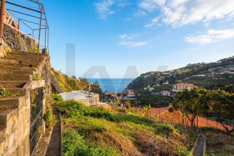 Helårsgrund i Ponta do Sol, Madeira, Ponta do Sol - € 280.000 | Ref: KWPT-030273 - foto 4