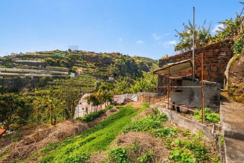 Helårsgrund i Ponta do Sol, Madeira, Ponta do Sol - € 280.000 | Ref: KWPT-030273 - foto 6