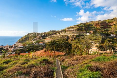 Helårsgrund i Ponta do Sol, Madeira, Ponta do Sol - € 280.000 | Ref: KWPT-030273 - foto 7
