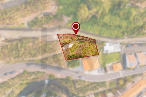 Helårsgrund i Ponta do Sol, Madeira, Ponta do Sol - € 280.000 | Ref: KWPT-030273 - foto 9