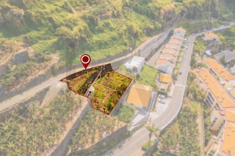 Helårsgrund i Ponta do Sol, Madeira, Ponta do Sol - € 280.000 | Ref: KWPT-030273 - foto 13
