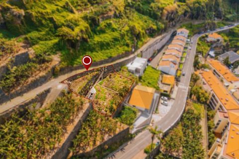 Helårsgrund i Ponta do Sol, Madeira, Ponta do Sol - € 280.000 | Ref: KWPT-030273 - foto 14