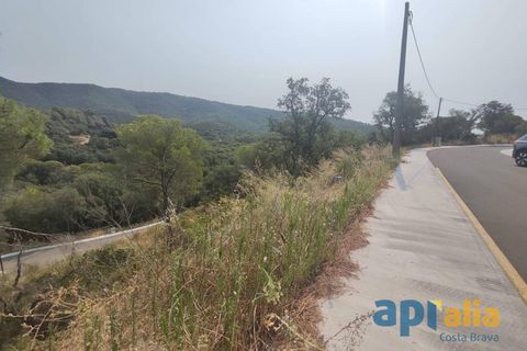 Helårsgrund i Calonge, Gerona, Calonge - € 45.000 | Ref: 3041/12898 - foto 10