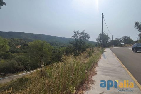 Helårsgrund i Calonge, Gerona, Calonge - € 45.000 | Ref: 3041/12898 - foto 11