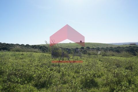 Terra a Gaeiras, Leiria, Gaeiras - € 285.000 | Ref: 150260069 - foto 2