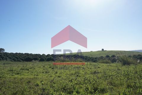 Terra a Gaeiras, Leiria, Gaeiras - € 285.000 | Ref: 150260069 - foto 6