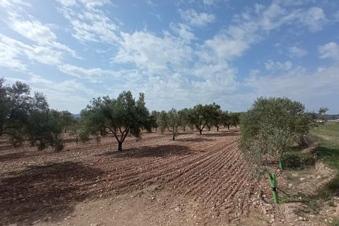 Helårsgrund i Salinas, Alicante, Salinas - € 99.995 | Ref: MTP5361 - foto 3