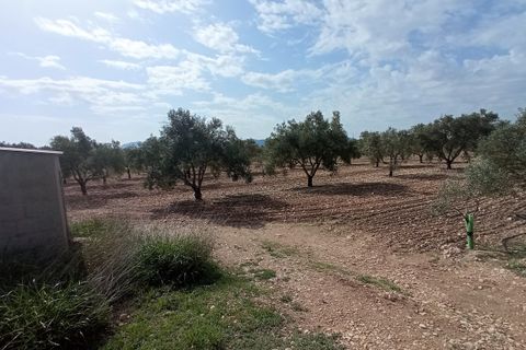 Helårsgrund i Salinas, Alicante, Salinas - € 99.995 | Ref: MTP5361 - foto 5