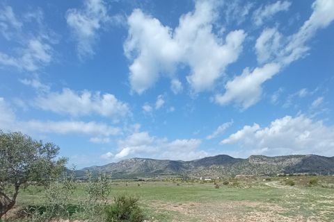 Helårsgrund i Salinas, Alicante, Salinas - € 99.995 | Ref: MTP5361 - foto 7