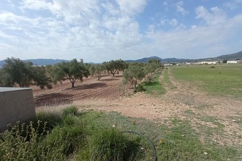 Helårsgrund i Salinas, Alicante, Salinas - € 99.995 | Ref: MTP5361 - foto 8
