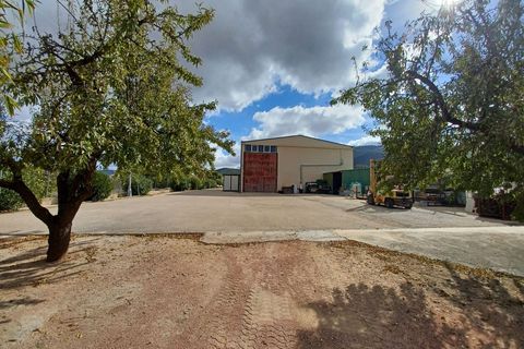 Landejendom i Monovar, Alicante, Monovar - € 225.000 | Ref: PT3130 - foto 3