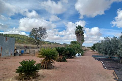 Landejendom i Monovar, Alicante, Monovar - € 225.000 | Ref: PT3130 - foto 7