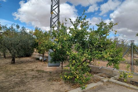 Landejendom i Monovar, Alicante, Monovar - € 225.000 | Ref: PT3130 - foto 10