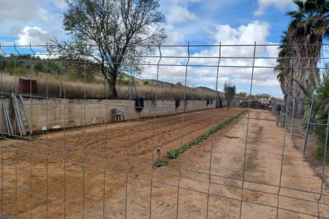 Landejendom i Monovar, Alicante, Monovar - € 225.000 | Ref: PT3130 - foto 11