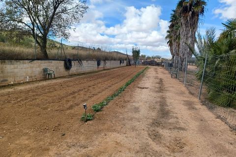 Landejendom i Monovar, Alicante, Monovar - € 225.000 | Ref: PT3130 - foto 12