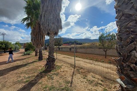 Landejendom i Monovar, Alicante, Monovar - € 225.000 | Ref: PT3130 - foto 16