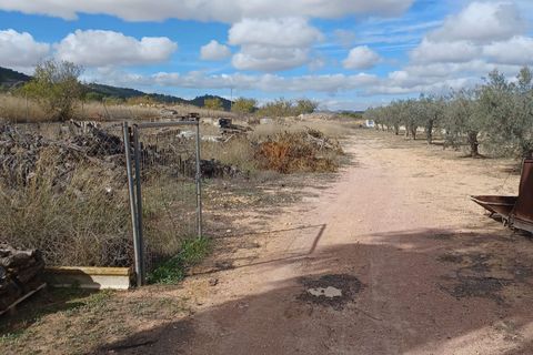 Landejendom i Monovar, Alicante, Monovar - € 225.000 | Ref: PT3130 - foto 17