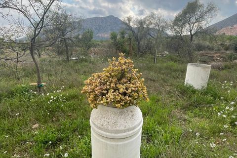 Cave house i El Canton, Murcia, El Canton - € 67.000 | Ref: MP6536 - foto 25