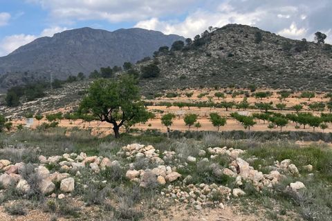 Cave house i El Canton, Murcia, El Canton - € 67.000 | Ref: MP6536 - foto 29